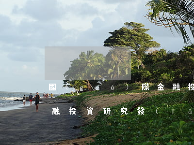 國(guó)際金融投資(國(guó)際金融投資研究發(fā)展中心)