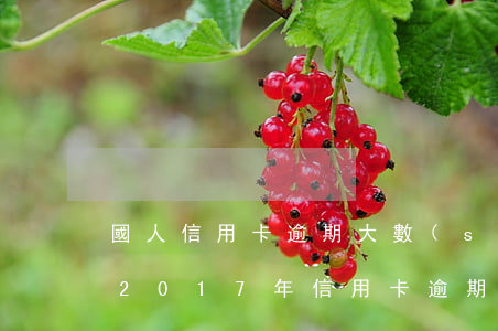 國人信用卡逾期大數(shù)據(jù)(2017年信用卡逾期)