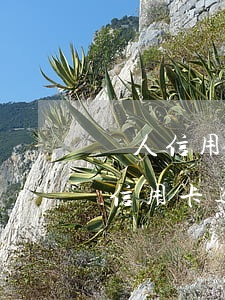 國人信用卡逾期大數(shù)據(jù)(信用卡逾期統(tǒng)計)