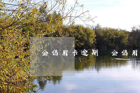 國企 信用卡 逾期(國企 信用卡 逾期)