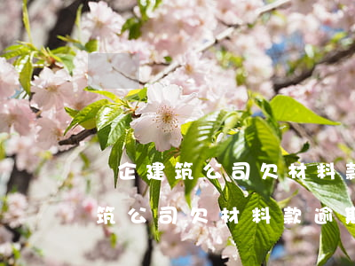 國企建筑公司欠材料款逾期怎么辦-國企建筑公司欠材料款逾期怎么辦啊