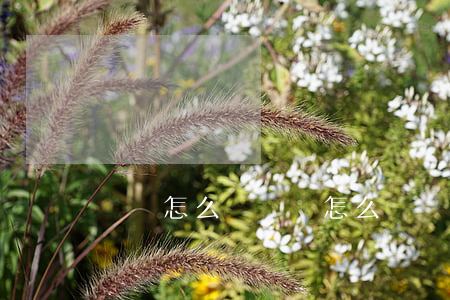 國債怎么買(國債怎么買)