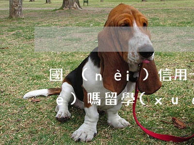 國內(nèi)信用卡逾期影響留學(xué)嗎(留學(xué)生信用卡國內(nèi)能用嗎)