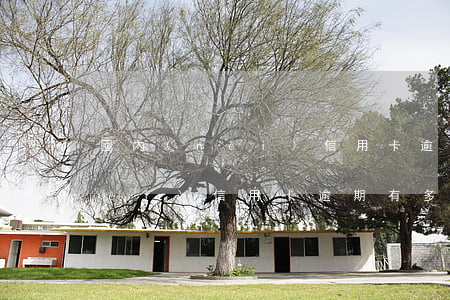 國內(nèi)信用卡逾期有多少 國內(nèi)信用卡逾期有多少額度