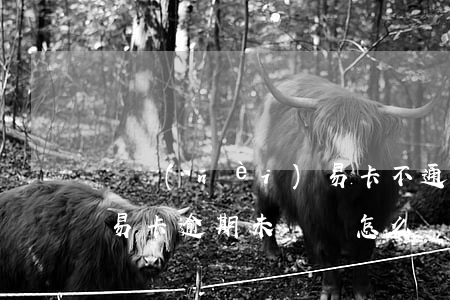 國內(nèi)易卡不通過（國內(nèi)易卡逾期未還會怎么樣）