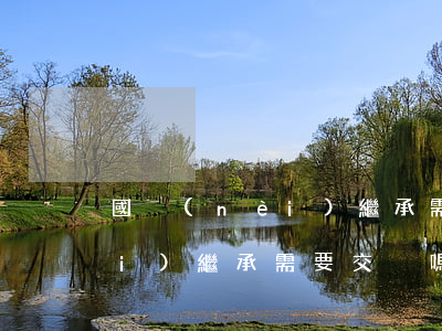 國內(nèi)繼承需要交稅嗎(國內(nèi)繼承需要交稅嗎)