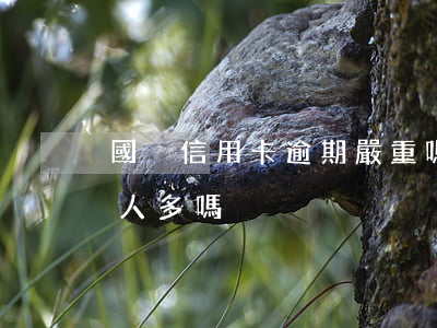 國內信用卡逾期嚴重嗎(中國欠信用卡逾期的人多嗎)