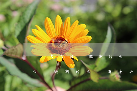國內欠支付寶逾期的人還有多少-國內欠支付寶逾期的人還有多少錢