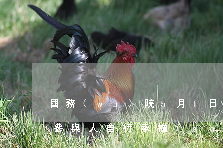 國務(wù)院：5月1日起，非法集資的損失，參與人自行承擔(dān)！