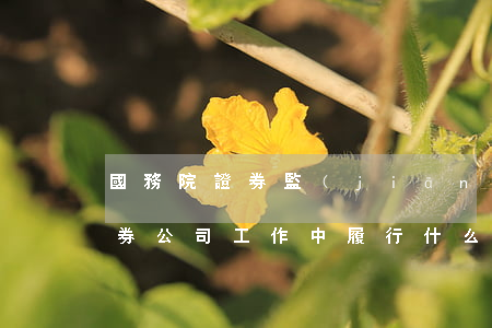 國務院證券監(jiān)督機構在處置證券公司工作中履行什么職責