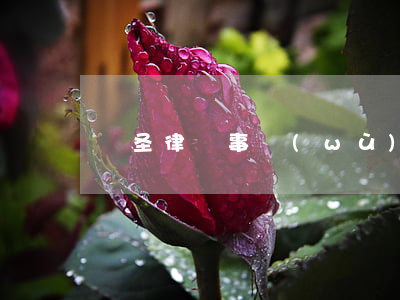 國圣律師事務(wù)所怎么樣