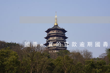 國壽e寶的貸款逾期(國壽e寶賬)