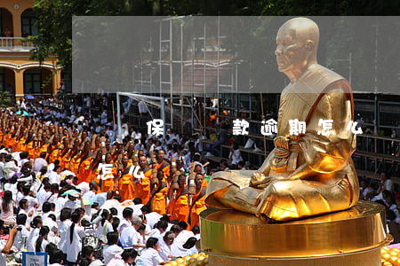 國壽保單還款逾期怎么辦(國壽保單還款逾期怎么辦)