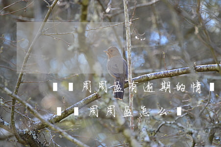 國壽周周盈有逾期的情況發(fā)生么-國壽周周盈怎么樣?