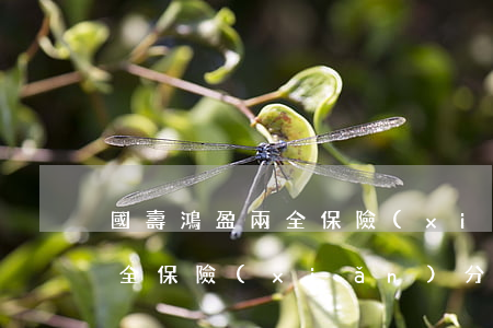 國壽鴻盈兩全保險(xiǎn)(國壽鴻盈兩全保險(xiǎn)分紅型6年)