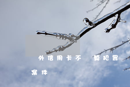 國外信用卡不還算犯罪嗎(信用卡不還是刑事案件嗎)