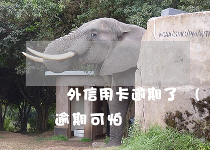 國外信用卡逾期了會(huì)咋樣(信用卡逾期可怕嗎)