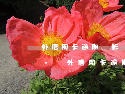 國外信用卡逾期會影響國內(nèi)征信嗎-國外信用卡逾期會影響國內(nèi)征信嗎知乎