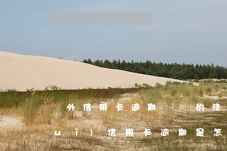 國外信用卡逾期沒還的法律條款(國外對(duì)信用卡逾期是怎么處理的)