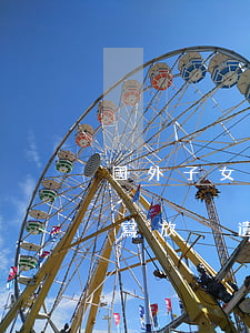 國外子女放棄繼承怎么處理(人在國外怎樣填寫放棄遺產(chǎn)繼承)