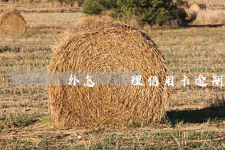 國外怎樣處理信用卡逾期(外國人信用卡逾期)