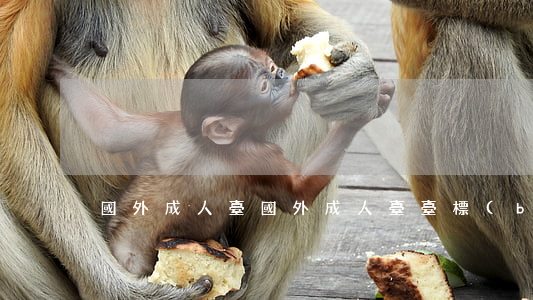 國外成人臺(國外成人臺臺標(biāo))