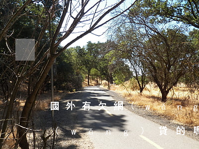 國外有欠網(wǎng)貸的嗎(國外有欠網(wǎng)貸的嗎)