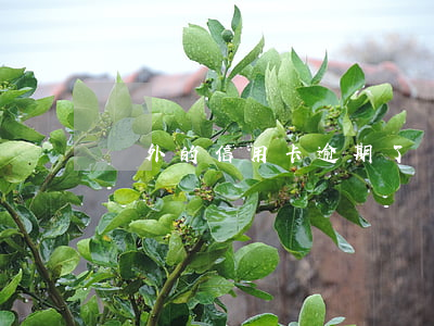 國外的信用卡逾期了