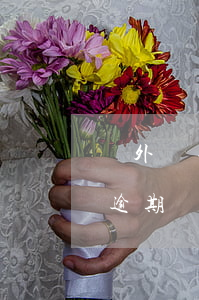 國外萬事達(dá)信用卡逾期-有信用卡逾期