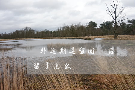 國外逾期逗留回國后處罰名單-外國逾期停留了怎么辦