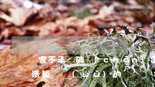 國家不承擔破產(chǎn)企業(yè)清算債務(wù)的賠償責任公司破產(chǎn)流程