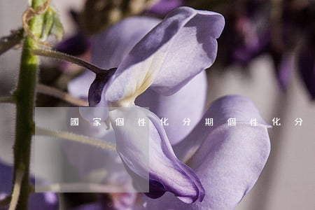 國家個性化分期(個性化分期辦理流程)