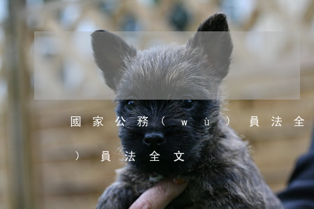國家公務(wù)員法全文(最新公務(wù)員法全文)