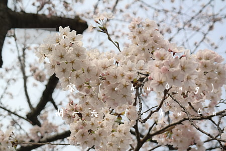 國家創(chuàng)業(yè)貸款逾期一天(創(chuàng)業(yè)貸款逾期什么后果)