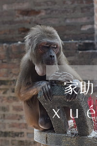 國家助學(xué)貸款逾期14次(助學(xué)貸款逾期十幾天)