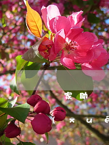 國家助學(xué)貸款逾期三天(國家助學(xué)貸如果逾期)