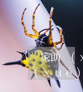 國家助學(xué)貸款逾期情況(國家助學(xué)貸款到期后逾期未還)
