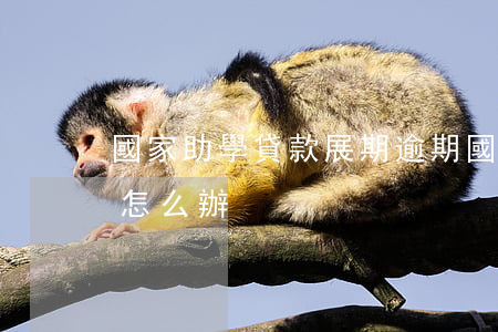 國家助學貸款展期逾期(國家助學貸款逾期了怎么辦)