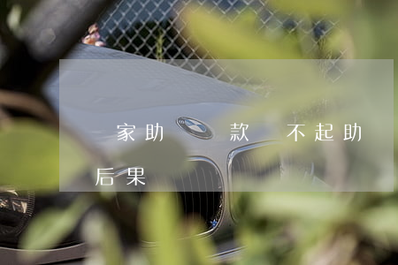 國家助學貸款還不起(助學貸款不還會有什么后果)