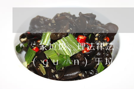 國家垃圾處理法律法規(guī)(我國關(guān)于垃圾的法律法規(guī)有哪些)