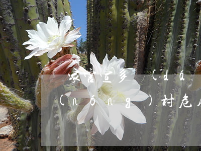 國家官宣！多達(dá)27個省可以申請農(nóng)村危房改造補(bǔ)助，這3類人除外！