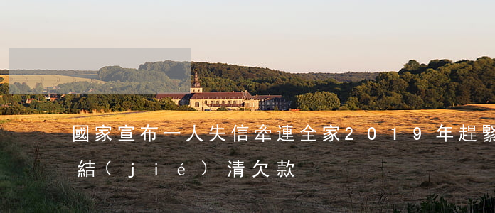 國家宣布：一人失信，牽連全家！2019年趕緊結(jié)清欠款！