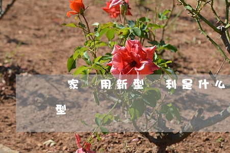 國家實用新型專利是什么（實用新型專利的類型）