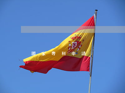 國家專利申請