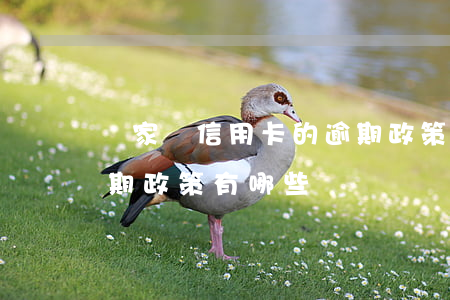 國家對信用卡的逾期政策(國家對信用卡的逾期政策有哪些)