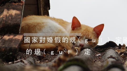 國家對婚假的規(guī)定(國家對于婚假的規(guī)定)
