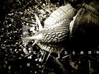 國家對小三怎么處理(中國法律對小三怎么處理)