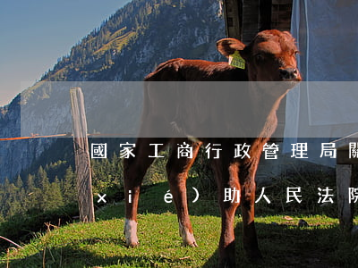 國家工商行政管理局關(guān)于協(xié)助人民法院執(zhí)行凍結(jié)或強(qiáng)制轉(zhuǎn)讓股權(quán)問題的答復(fù)