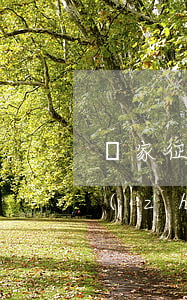國家征收塑料大棚的補償標(biāo)準(zhǔn)