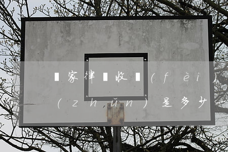 國家律師收費(fèi)標(biāo)準(zhǔn)是多少(一般律師收費(fèi)多少)